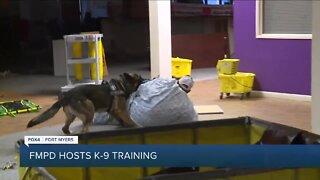 Behind the scenes of K-9 training for Southwest Florida law enforcement