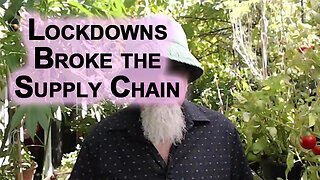 Lockdowns Broke the Supply Chain