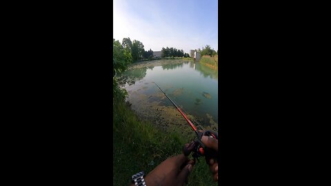 Practicing My Skipping With A Baitcaster!