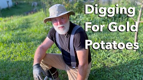 Reduce Food Cost by Digging Potatoes