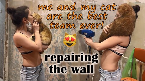 Scraping and repairing the wall with my cat