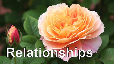 Guided Meditation for Love and Healing Relationships