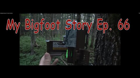 My Bigfoot Story Ep. 66 - Voices on the Wind