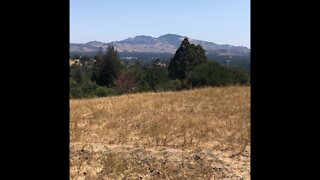 Mount Diablo from Briones Regional Park