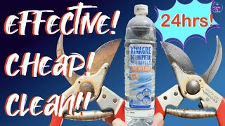 Rusty tools HACK! Do THIS 💪🏼 WORKS! Cheap, Easy, Fast & Effective! 🤞🏼 Step by Step Rust FREE 🤩👌🏼