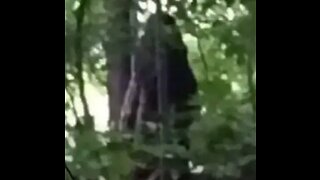 Sasquatch Photo in South Carolina