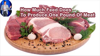 How Much Feed Does It Take To Produce One Pound Of Meat?