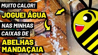 Abelha Mandaçaia - O Manejo com água nos dias de calor intenso, melhora o microclima no Meliponário