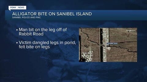 Alligator trapped and removed after report of man being bitten in Sanibel