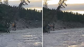 Alaskan Grizzly Bear Scares Fisherman Out Of Their Fishing Spot