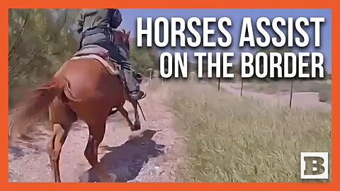 Horses Assist Texas DPS Chase Down Human Smuggler After He CRASHES in Ditch