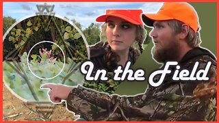 Boom or Bust? Early Season Doe Hunts | In the Field