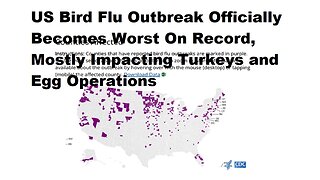 US Bird Flu Outbreak Worst On Record, Impacting Turkey & Egg Operation