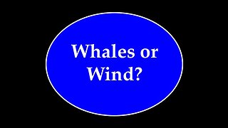 Whales or Wind?