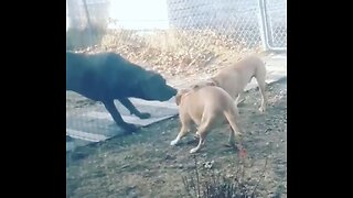 Tug of war