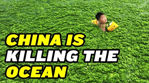 China is Killing the World’s Oceans