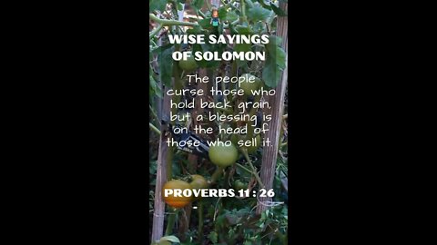 Proverbs 11:26 | Wise Sayings of Solomon