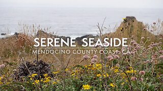 Serene Seaside - Calming Coastal Scene of Northern California Flowers, Bees, and Ocean Waves