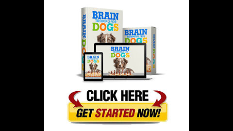 Brain Training For Dogs: Turn Your Dog Into the obedient, well-behaved pet of your dream!!