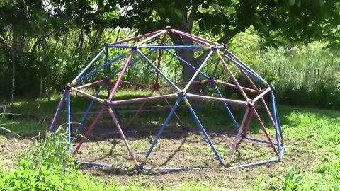 Don't keep up with the jones', growing pole beans and winter squash on climbing dome.