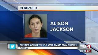 Woman tries to steal plants from nursery