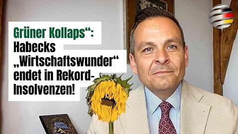 „Grüner Kollaps“: Habecks „Wirtschaftswunder“ endet in Rekord-Insolvenzen!