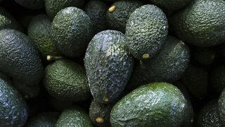 U.S. Suspends Mexican Avocado Imports