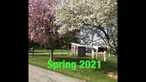 Ohio 2021 Spring, gardening and "CRAZY" 90's toy prices at an Auction.