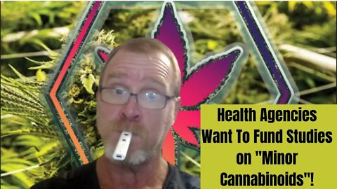 Health Agencies Want To Fund Studies on "Minor Cannabinoids"!