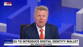 'Are we still a democracy?': EU MP questions his parliament's decision on the digital ID