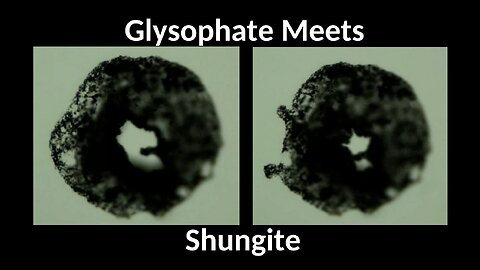 SHUNGITE REALITY 4-2-24 CLIP - GlyphosateMeets Shungiite Video