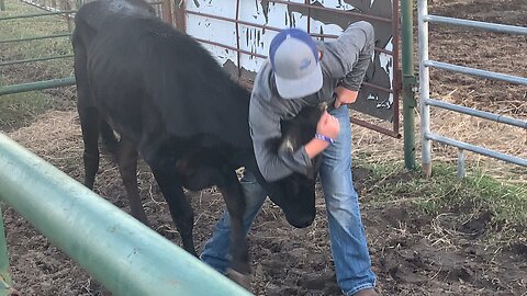 Growing up Cowboy