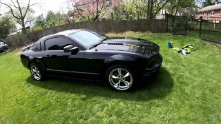 2008 Mustang Detailed + Battery In Our Trunk Cleaned Up