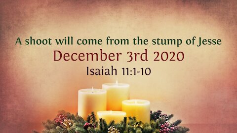 A shoot will come from the stump of Jesse - Advent Devotional 3rd Dec '20