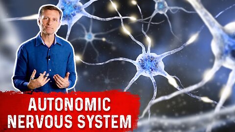 How Fasting Influences the Autonomic Nervous System