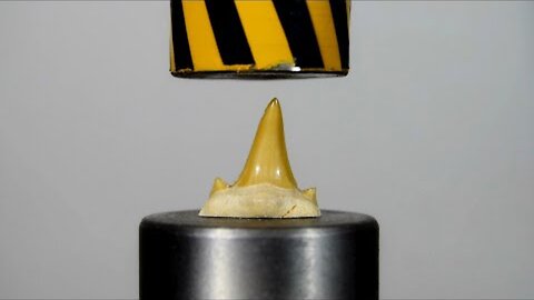 HYDRAULIC PRESS AGAINST SHARK TOOTH