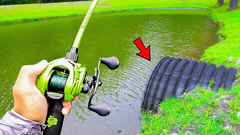 This TROPHY Pond is LOADED w/ GIANT Bass (Bank Fishing)