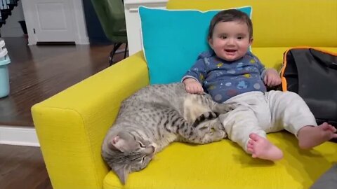 the Cutest Babies Play With Dogs And Cats video