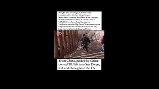 Illegal immigrants from as far away as China are using detailed TikTok instructional videos.