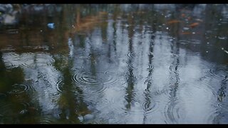 Rain Sounds Video - 10 Minutes