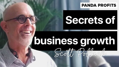 Success Strategies A CEO Coach's Guide to Quick Growth | Panda Profits Podcast Ep 4