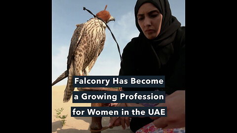 The practice of falconry has been part of the UAE for thousands of years.