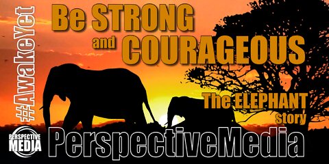 Be STRONG and COURAGEOUS (The Elephant story) #AwakeYet