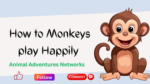 How to Monkeys Play Happily