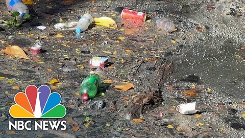 Rio community concerned as caiman habitat fills with city's trash