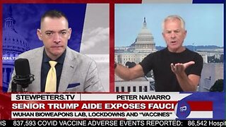 Peter Navarro: "Strap Fauci in a Chair, Make Him Confess His Crimes" - 11/3/21