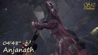 Anjanath (04'48'') | Insect Glaive | Monster Hunter World: Iceborne | "Sub 10 Challenge"