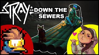 heading down the sewers in STRAY