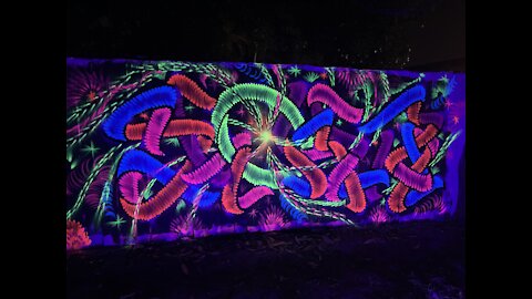 Graffiti back yard fluorescent art Shoker