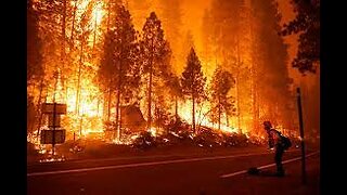 Hundreds of Millions of Dead Trees, They(Mad Scientist) will create Wildfires like We've never seen